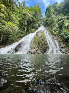 A cascading waterfall surrounded by lush greenery, reflecting in a serene pool below.