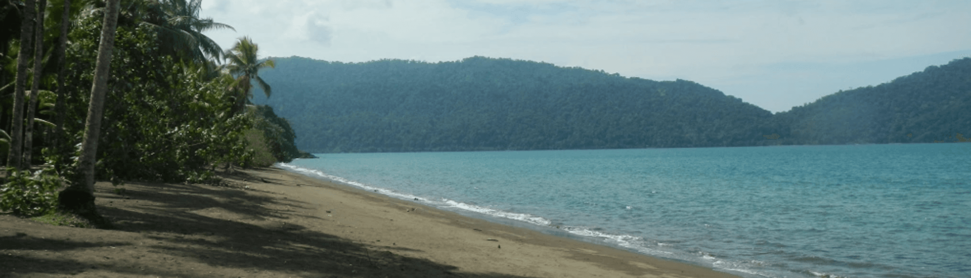 A serene beach bordered by palm trees and mountains under a clear sky.