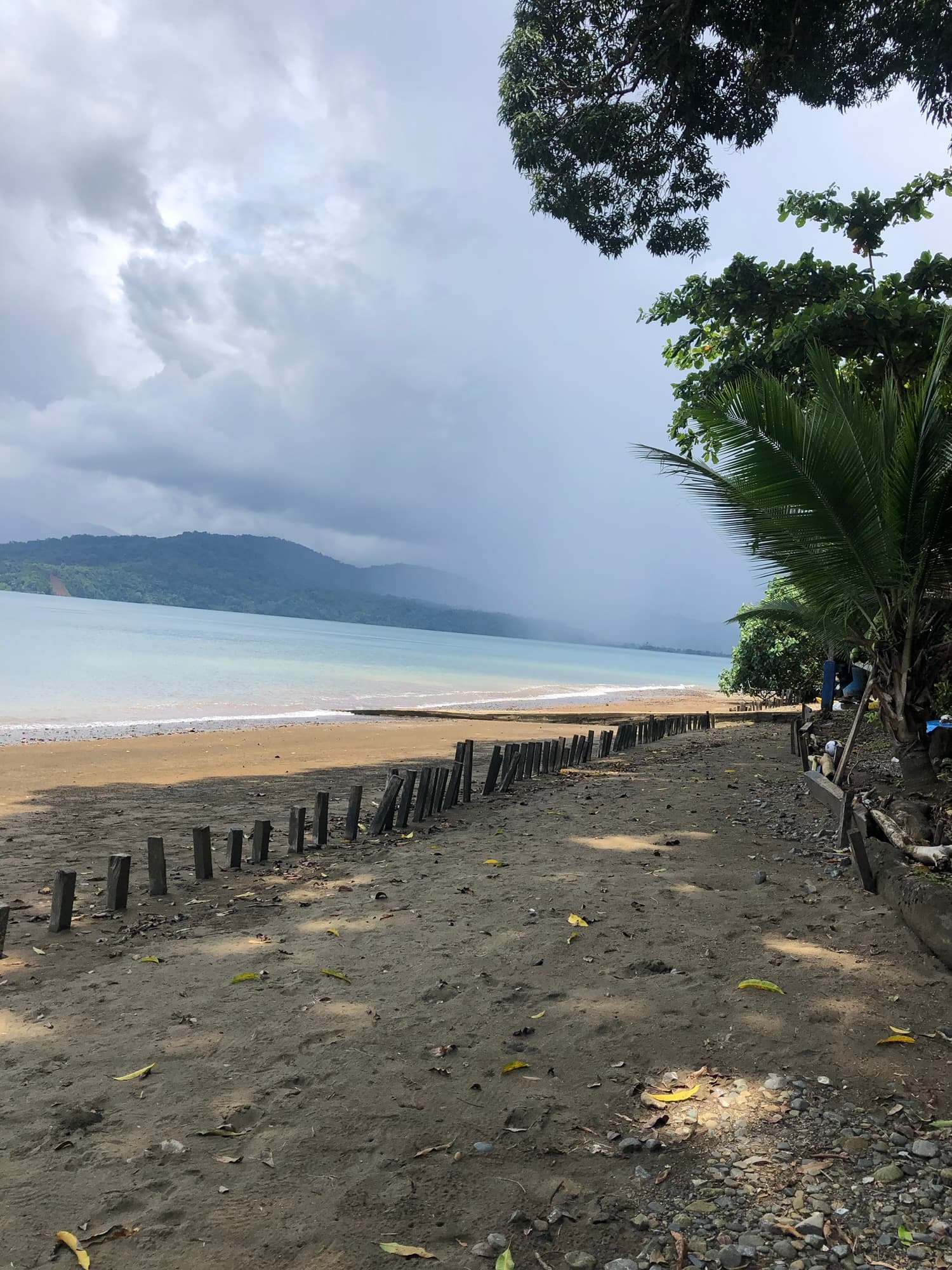 A sandy beach bordered by a row of wooden posts under a cloudy sky.