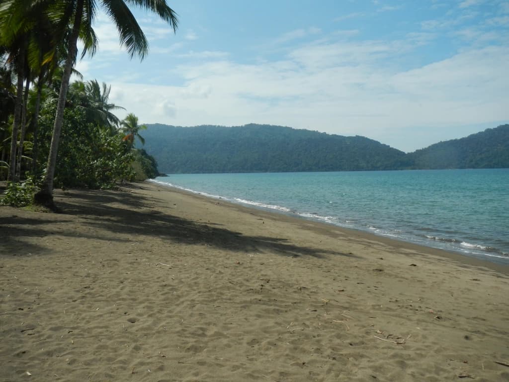 A sandy beach lined with palm trees and gentle waves under a cloudy sky.