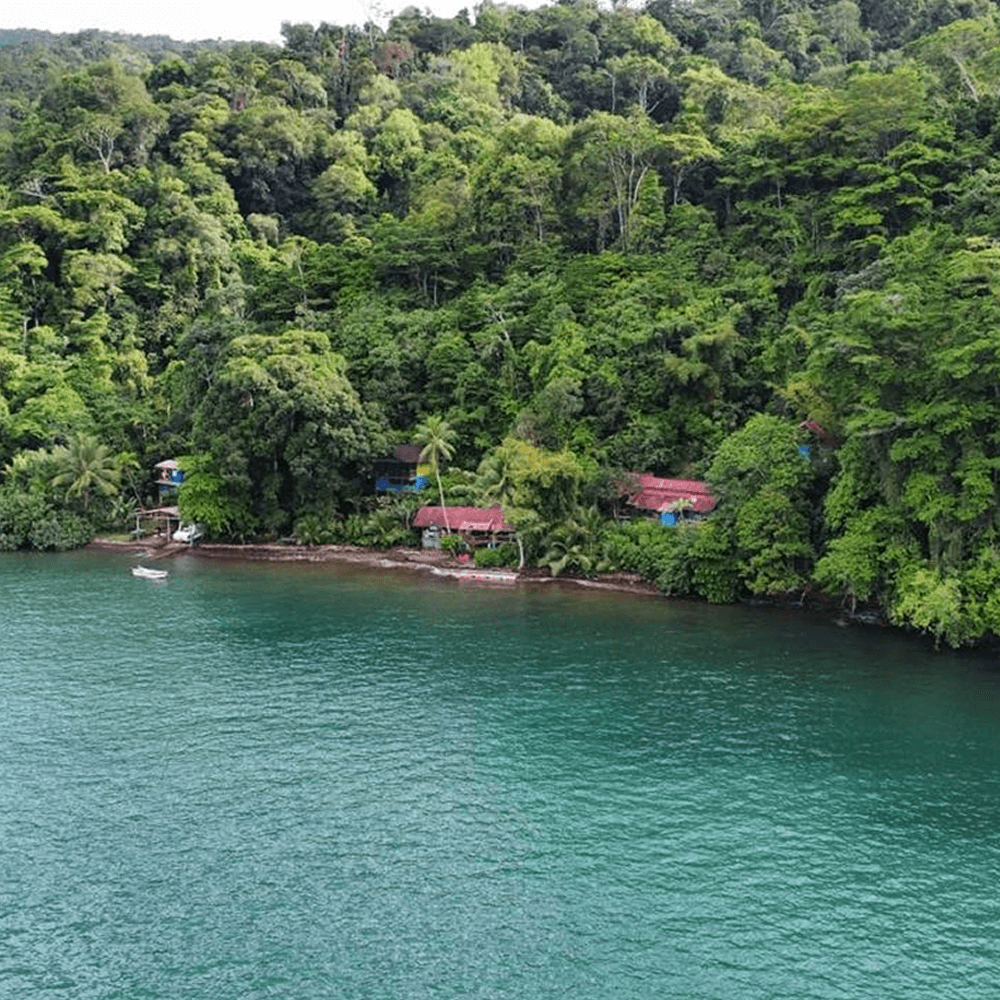 Aerial view of a lush tropical coastline with colorful houses nestled among dense greenery.