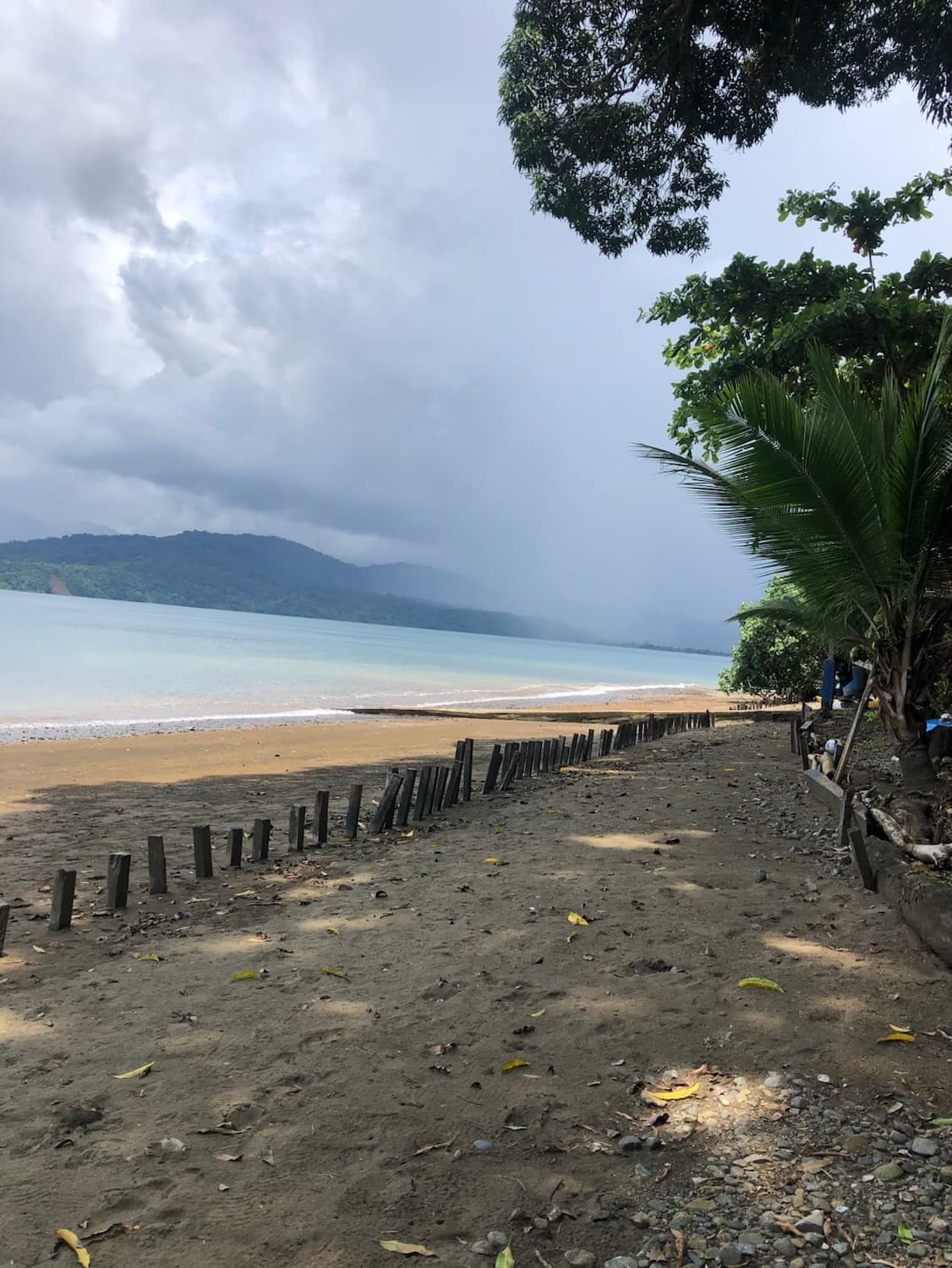 A sandy beach lined with wooden posts under a cloudy sky and distant mountains.