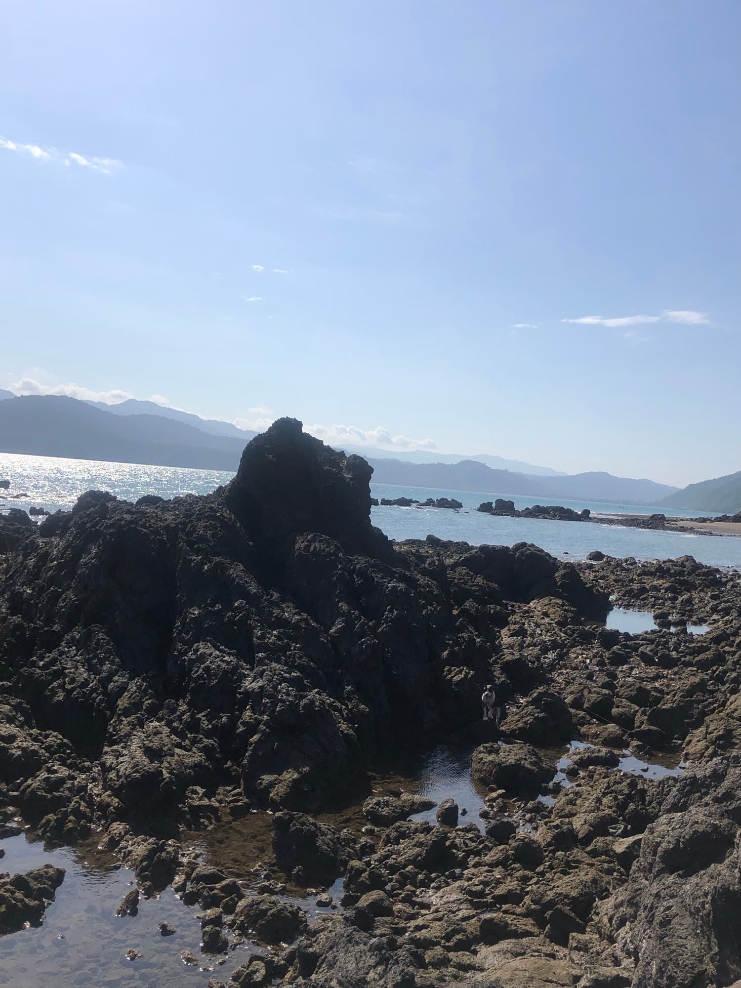 A rocky shoreline with a person standing among the tidal pools under a clear sky.