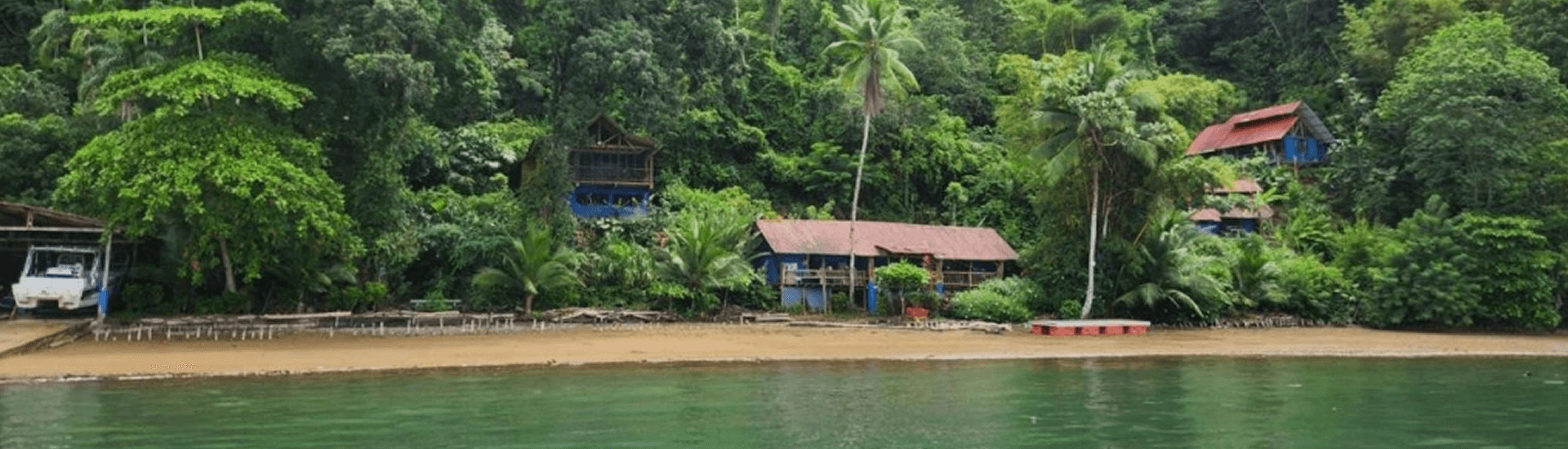 A serene beach scene featuring tropical vegetation and colorful houses beside calm waters.