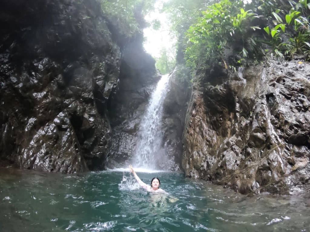 A person swims in a natural pool beneath a waterfall surrounded by lush greenery.