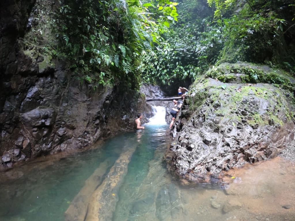 A serene natural pool surrounded by lush greenery, with people enjoying the water.