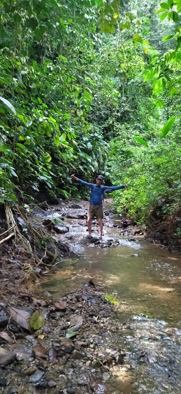 A person stands in a shallow stream surrounded by lush greenery.