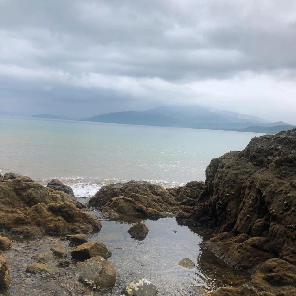 Rocky shoreline with calm waters and overcast skies.