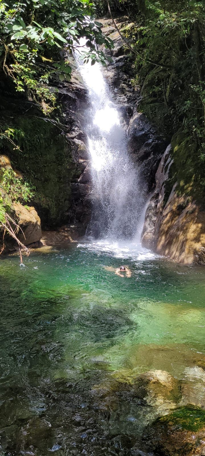 A waterfall cascades into a serene, turquoise pool surrounded by lush greenery.