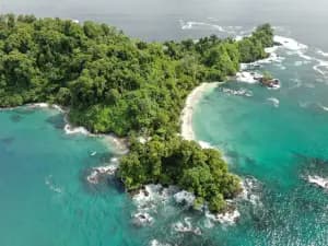 Aerial view of a lush green island surrounded by turquoise waters.
