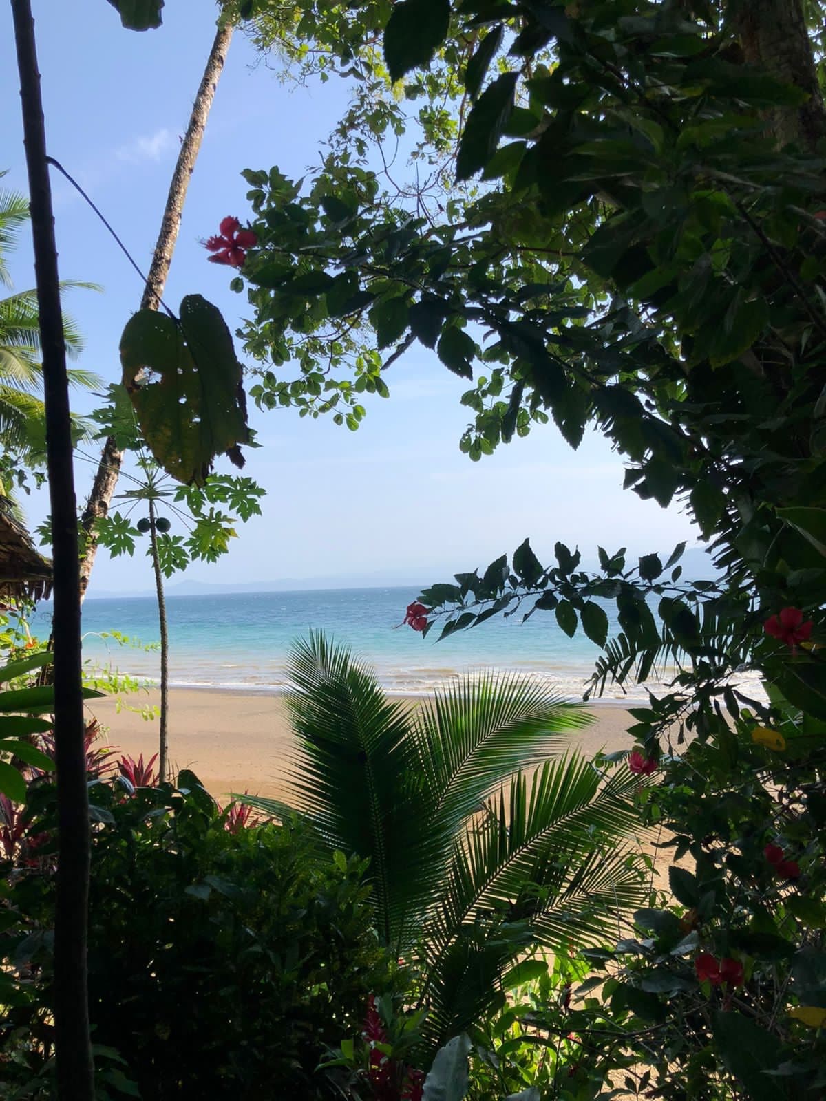 A scenic view of a beach framed by lush greenery and tropical plants.