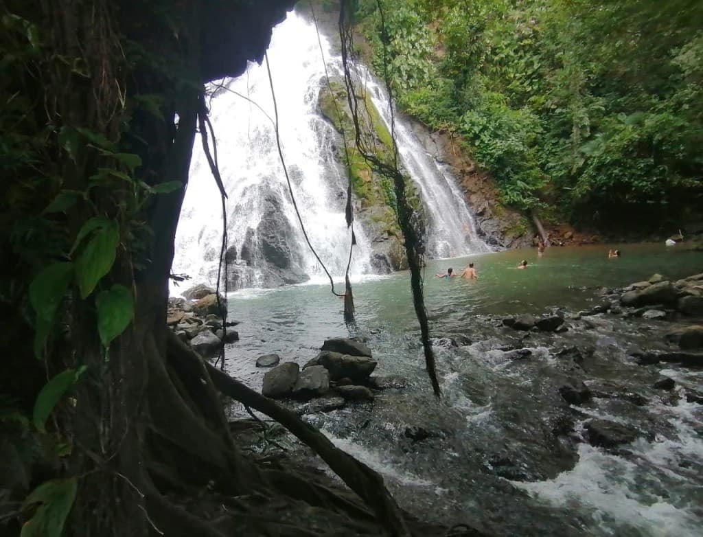 A waterfall cascades into a serene pool surrounded by lush greenery and people enjoying the water.